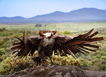 spain/extremadura/attraction/el-bosque-de-to