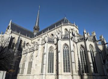 belgium/mechelen/attraction/saint-peter-s-church