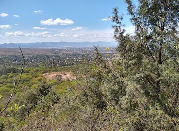 argentina/salta/attraction/reserva-privada-reserva-del-huaico