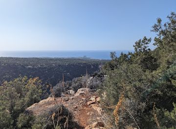 cyprus/coral-bay/attraction/viewpoint