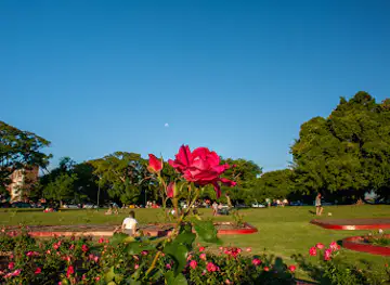 New Farm Park Rotunda
