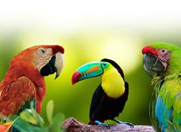 costa-rica/monteverde/attraction/proyecto-asis