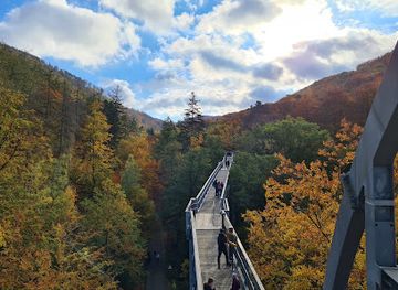germany/harz-national-park/attraction/wurzelpfad-harz