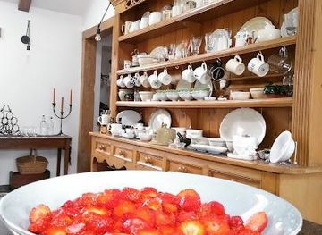 ireland/salthill/attraction/tamijoyfarm