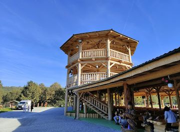 romania/transylvania/attraction/dinosaur-world-transylvania