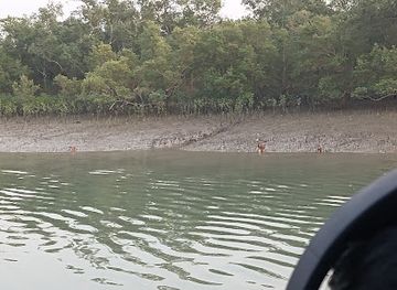 bangladesh/sundarbans-national-park/attraction/five-river-junction