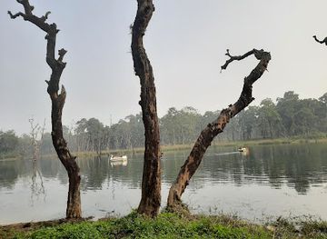 nepal/chitwan/attraction/batuli-pokhari-madhyawarti-samudaayik-ban-upabhoktaa-samuha