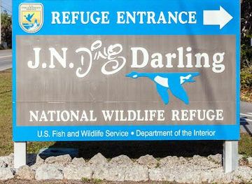 florida/cape-coral/attraction/j-n-ding-darling-national-wildlife-refuge
