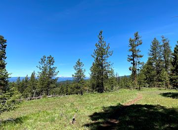 idaho/ponderosa-state-park/attraction/bear-basin-trailhead