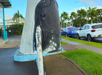 The Big Whale