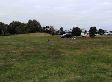 new-zealand/whanganui/attraction/otamatea-reserve