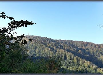 croatia/sljeme-mountain/attraction/leustekova-staza