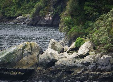 new-zealand/milford-sound/attraction/yates-point