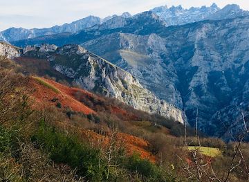 spain/picos-de-europa/attraction/hayedo-de-pelono