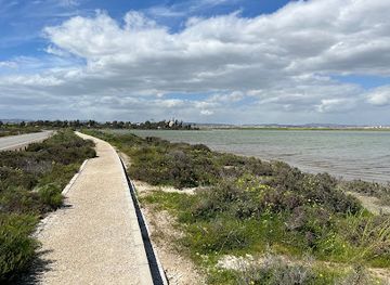 cyprus/larnaca-district/attraction/flamingo-observatory-spot