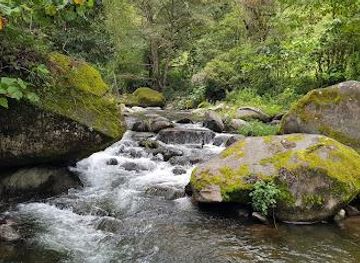 costa-rica/manuel-antonio/attraction/savegre-river