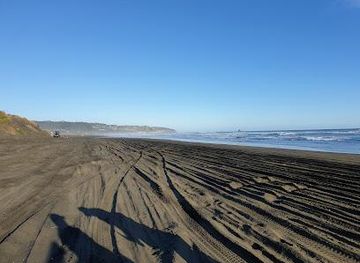 new-zealand/auckland/attraction/muriwai-beach