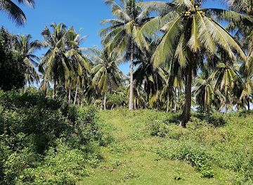 philippines/cagayan-valley/attraction/city-museum-of-cagayan-de-oro-and-heritage-studies-center