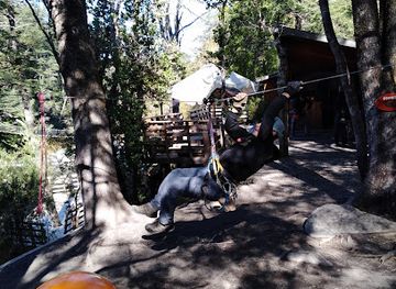 chile/pucon/attraction/bosque-aventura-pucon