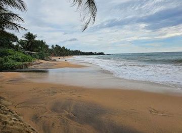 sri-lanka/bentota/attraction/induruwa-sea-turtle-conservation-center