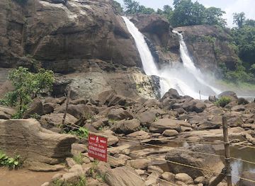 india/alleppey/attraction/alleppey-pine-forest-mini