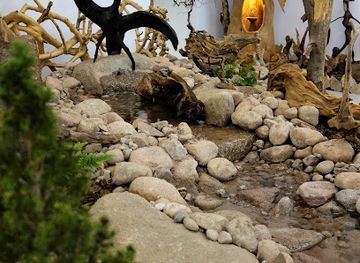 france/vosges-mountains/attraction/musee-des-mille-et-une-racines-de-michel-maurice