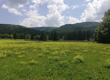 romania/prahova-valley/attraction/the-county-museum-of-natural-sciences