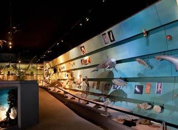 italy/verona/attraction/museo-di-storia-naturale