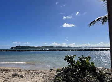 puerto-rico/san-juan/isla-verde/attraction/jerrys-adventures-llc