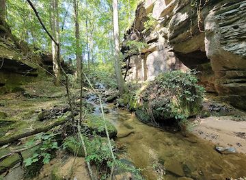 alabama/dismals-canyon/attraction/rocky-ravine-park