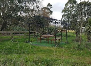 new-zealand/waikato/attraction/cornerstone-alpacas-ltd