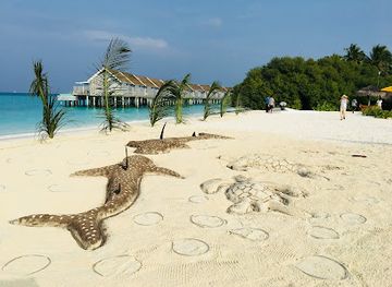maldives/thoddoo-island/attraction/sand-bank-kuramathi-island-maldives