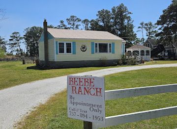 virginia/eastern-shore/attraction/beebe-ranch