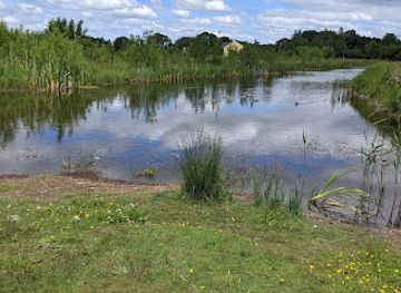 ireland/county-galway/attraction/the-new-duck-pond
