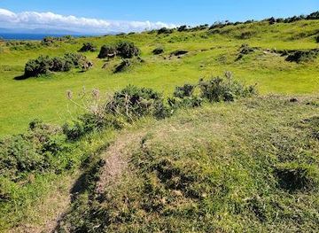 ireland/dingle/attraction/fairy-fort-ringfort
