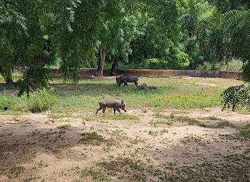 nigeria/maiduguri/attraction/sanda-kyarimi-park