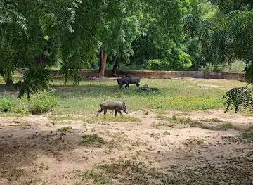 Sanda Kyarimi Park