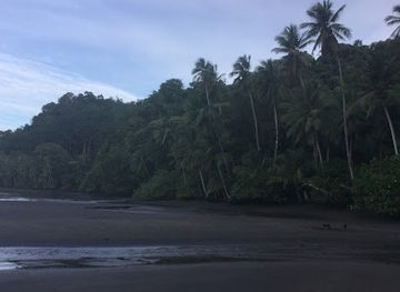 costa-rica/corcovado-national-park/attraction/osa-wildlife-sanctuary