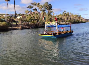 mexico/mulege/attraction/trajineras-mulege