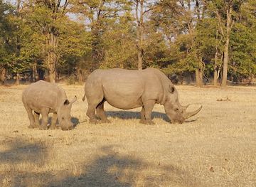 zambia/livingstone/attraction/dickson-s-safari-tour