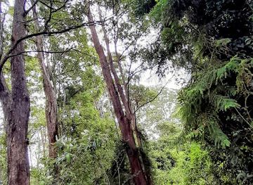 australia/northern-rivers/attraction/tucki-tucki-nature-reserve