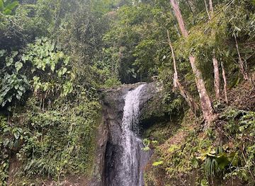 saint-lucia/diamond-falls-botanical-gardens/attraction/macdomel-waterfall