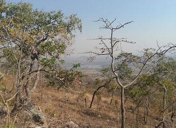 zambia/eastern-province/attraction/department-of-national-parks-and-wildlife-forest