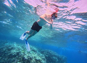 egypt/hurghada/attraction/coral-reef