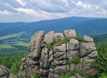 czechia/jizera-mountains/attraction/forest-jizera