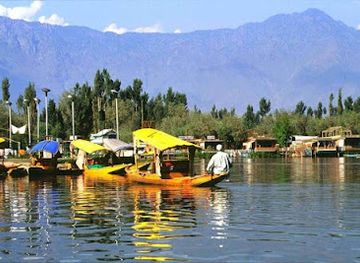 india/kashmir-great-lakes/attraction/tulip-garden-srinagar