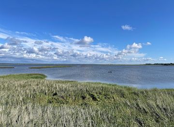 latvia/pape-nature-reserve/attraction/birdwatch-tower