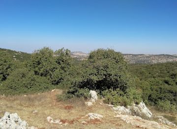 jordan/ajloun-highlands/attraction/ajloun-forest-reserve-visitor-center
