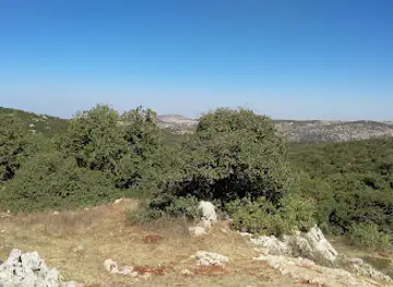 Ajloun Forest Reserve Visitor Center