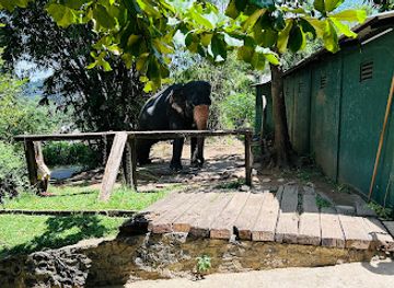 sri-lanka/kandy/attraction/athgala